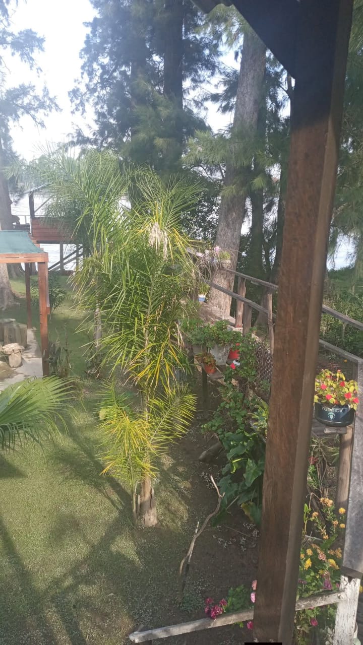 Imagen 2