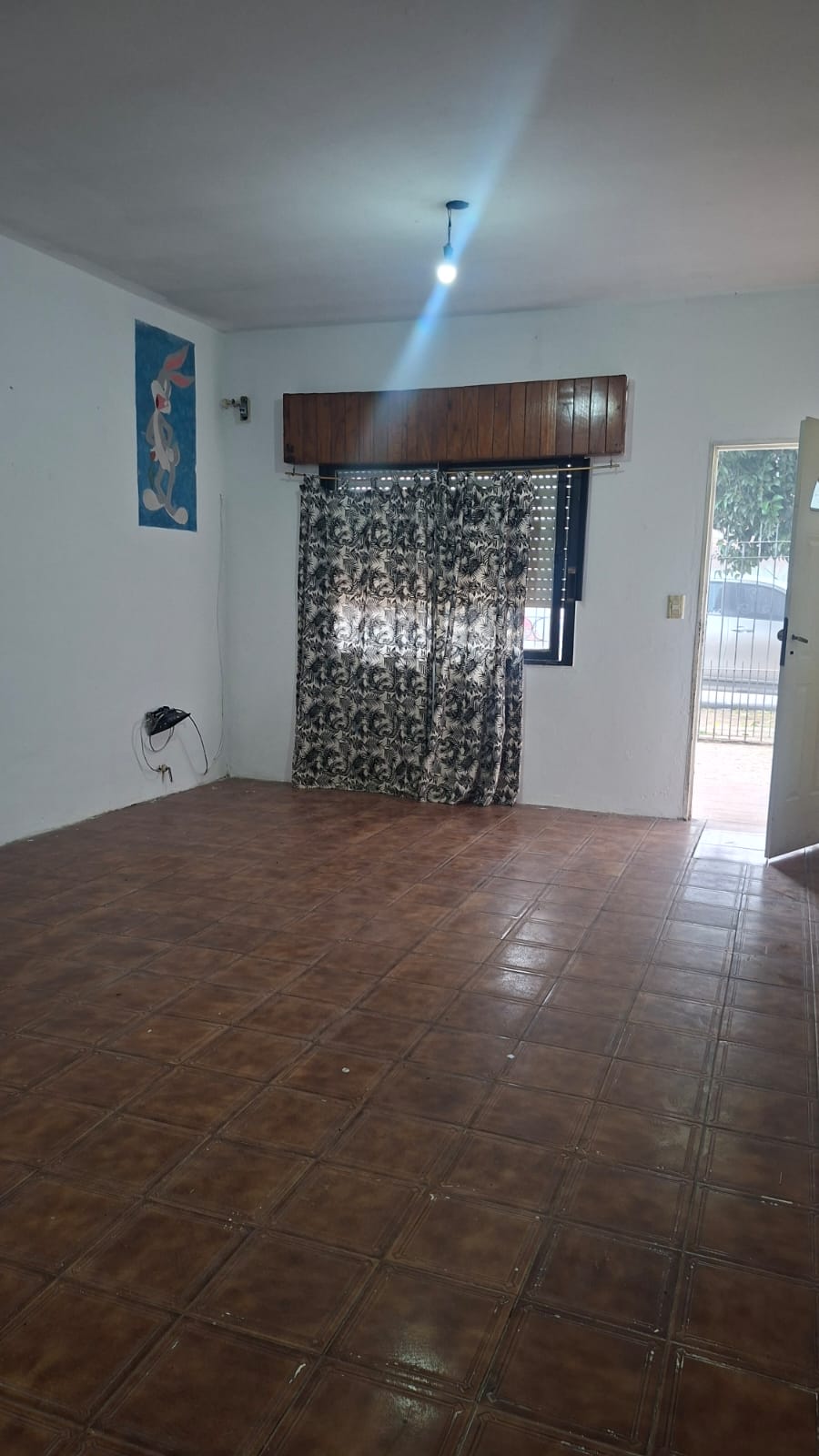 Imagen 11