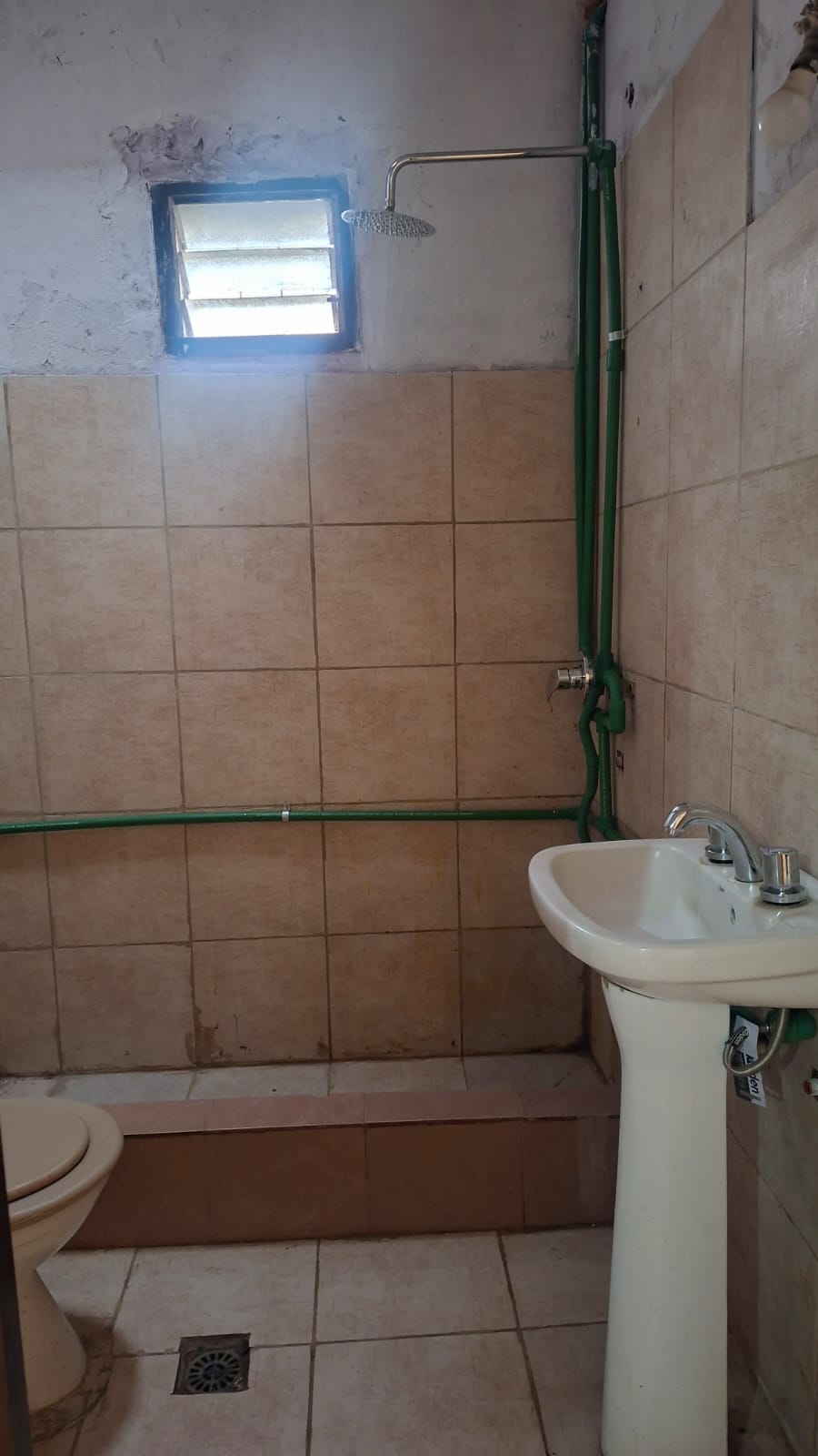 Imagen 4