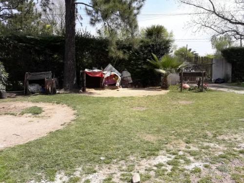 Imagen 7
