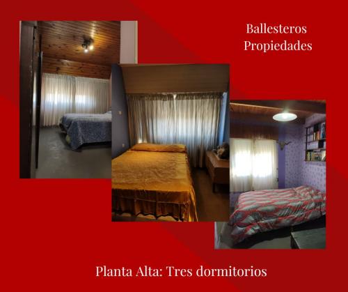 Imagen 1