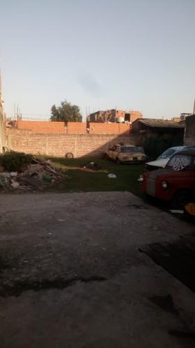 Imagen 8