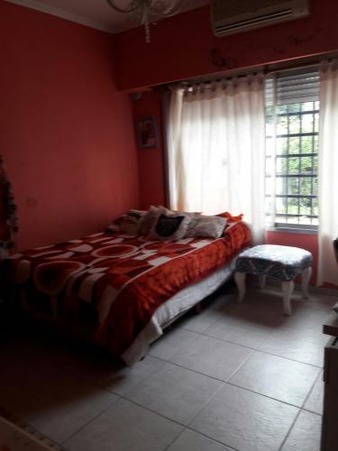 Imagen 5