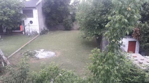 Imagen 3