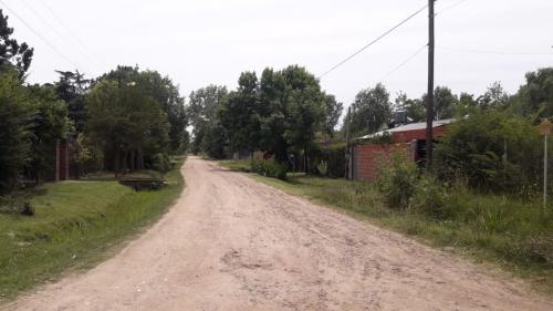 Imagen 5