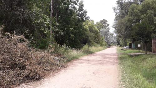 Imagen 6